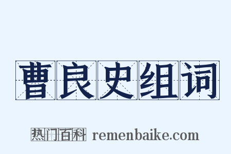 曹良史组词是什么意思的图片